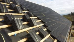 sedumtag - Saltum Tømreren - tegl - Sedumtag